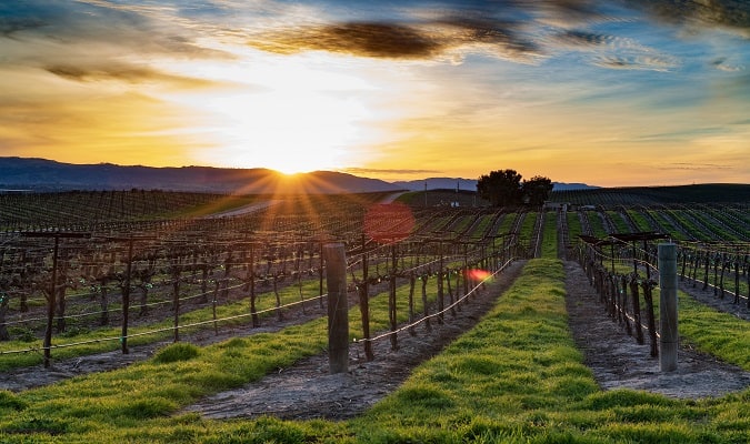Paso Robles é uma famosa região vinícola da Califórnia.  Há mais de 300 vinícolas na área de Paso Robles, e a Wine Wrangler oferece diversas opções de tours com degustação de vinhos.